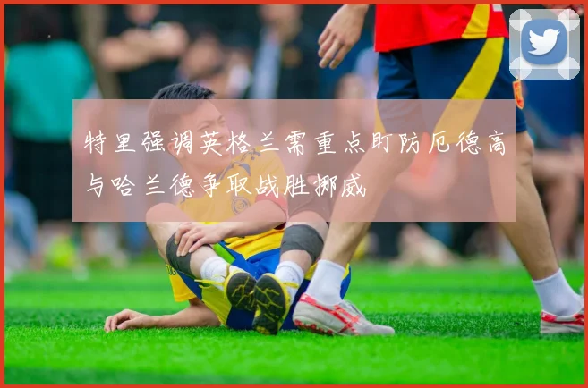 特里强调英格兰需重点盯防厄德高与哈兰德争取战胜挪威