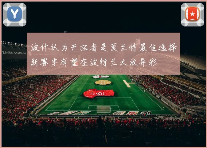 波什认为开拓者是莫兰特最佳选择新赛季有望在波特兰大放异彩