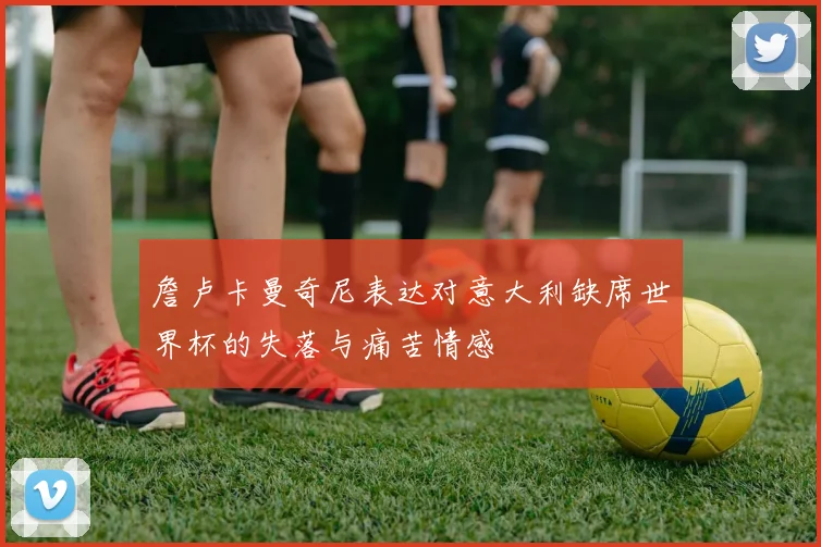 詹卢卡曼奇尼表达对意大利缺席世界杯的失落与痛苦情感