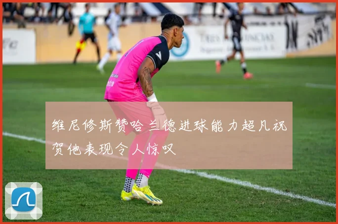 维尼修斯赞哈兰德进球能力超凡祝贺他表现令人惊叹